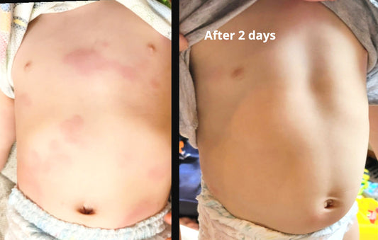 Where It All Began: The HUNYULE Cream That Inspired Verdant Equus