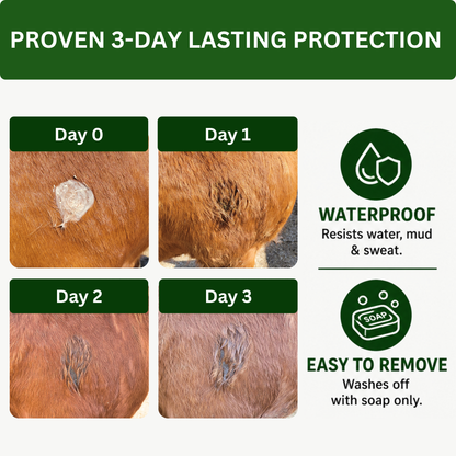 3-Day Defense Cream