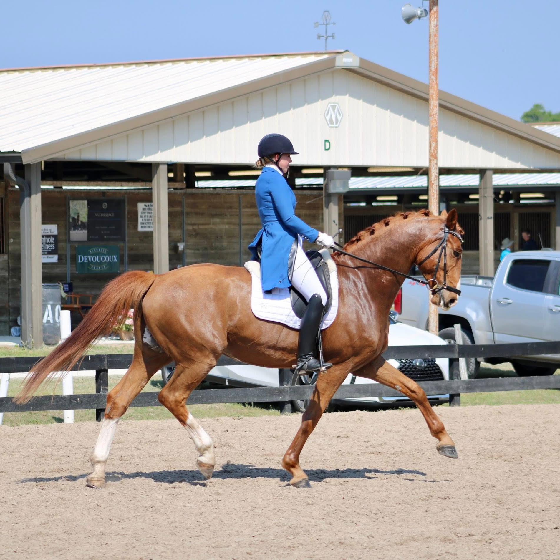 VERDANT EQUUS